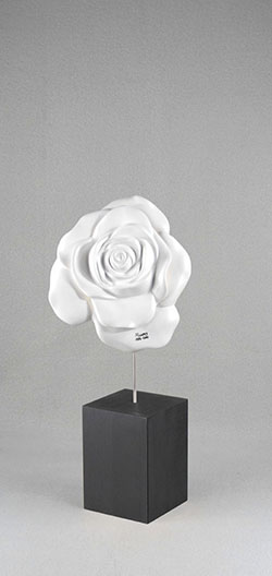 dieSIGNurne harmony weiss