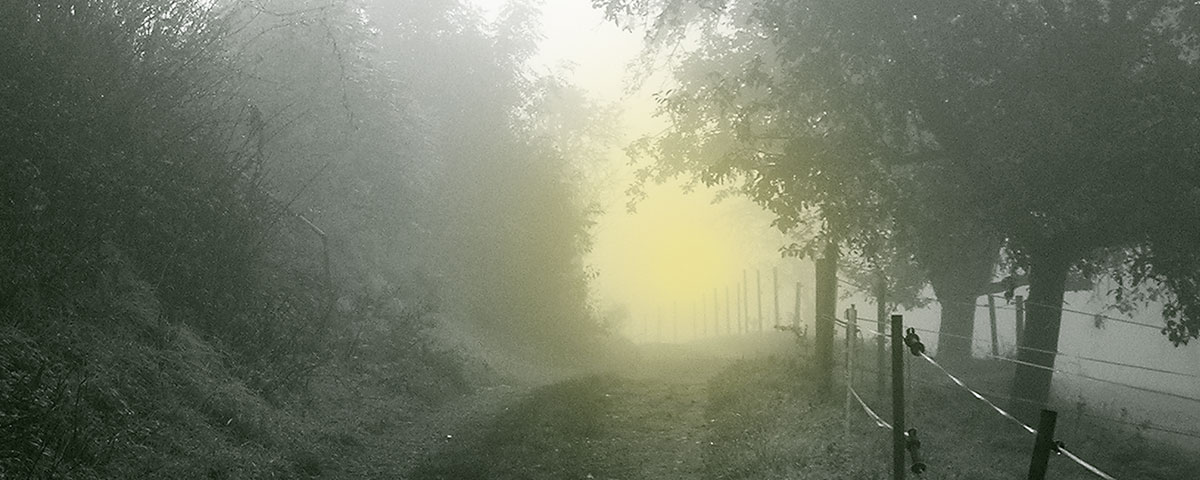 Dem Auge fern - dem Herzen ewig nah ASBIART Tierurnen mit Bild