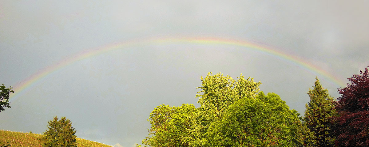 ASBIART Die Regenbogenbrücke